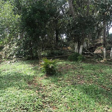 Recanto Figueiredo Villa Ibiúna Kültér fotó
