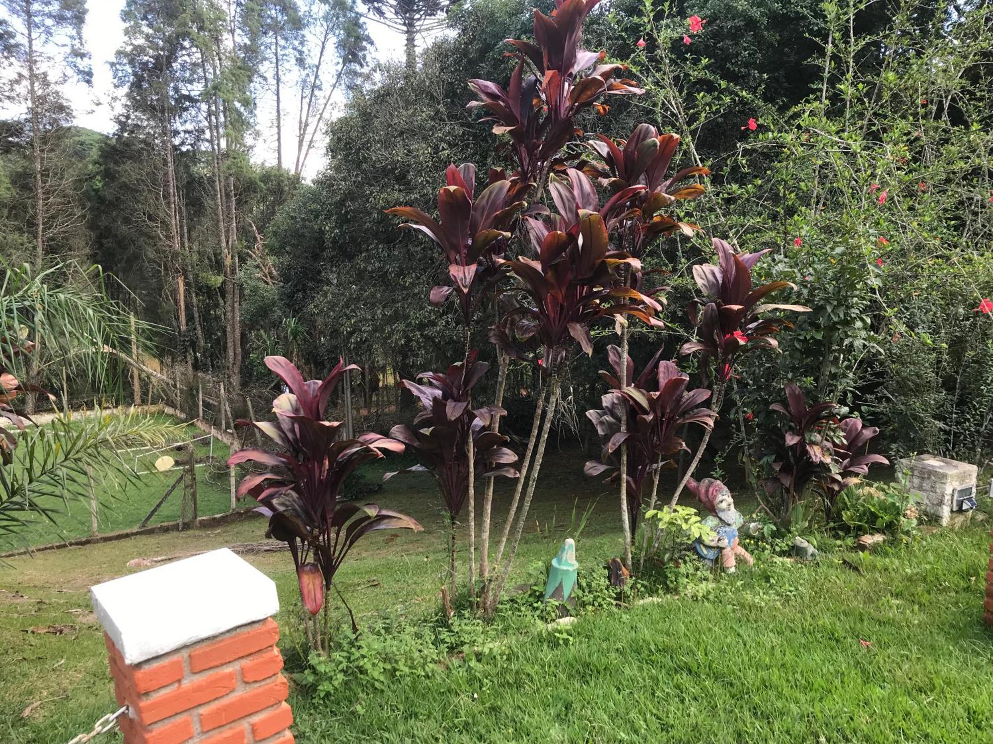 Recanto Figueiredo Villa Ibiúna Kültér fotó